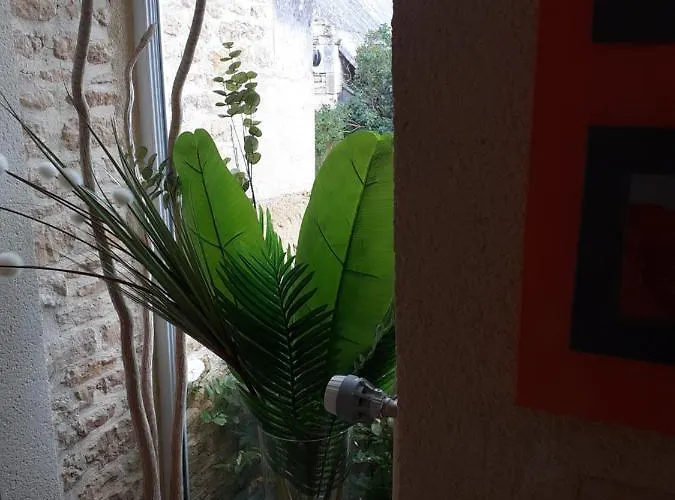 Bed & Breakfast Pegasus *